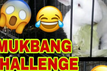 RABBIT MUKBANG CHALLENGE||SUPER CUTE PINK EYES||VEGETARIAN DAW SIYA 😅😆