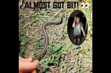 FOUND CUTE BABY BUNNIES & ALMOST GOT BIT BY A SNAKE