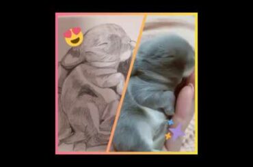 Satisfying art, Drawing of a sleeping baby Rabbit, Quarantine art.