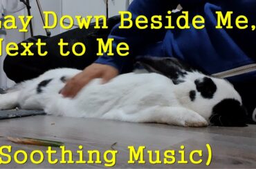 Soothing Music) for Relaxing Deep Sleep Meditation. Giant Baby, Joey Lay Down Beside Me Next to Me.