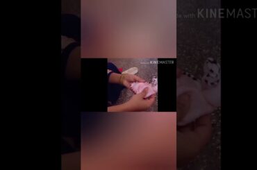 How to make a cute bunny with a towel and paper