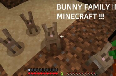 BUNNY FAMILY IN MINECRAFT | FUNNY AND ADORABLE MINECRAFT GAMEPLAY