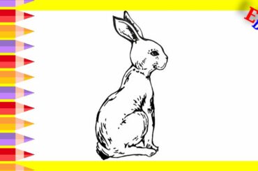 How to Draw a Bunny rabbit Cute animal Drawing Step by step || #bunnydrawing