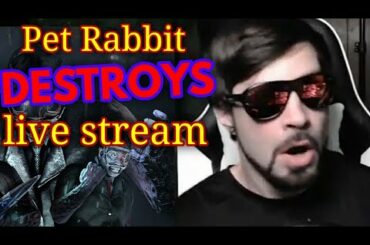 CUTE BABY BUNNY RUINS LIVE STREAM!