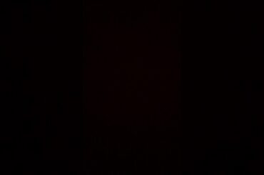 Babyrabbit super cute🐰