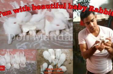 Enjoyment_with_small_rabbits II Beautiful baby rabbits II