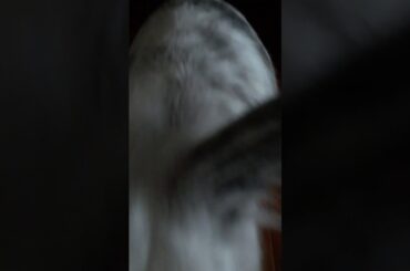 My cute little bunny cleaning herself...