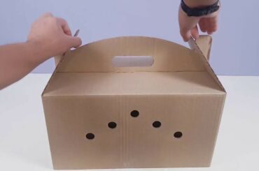 New home for little cute Bunny