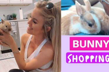 My New Bunny (SO CUTE)+ Car Shopping!