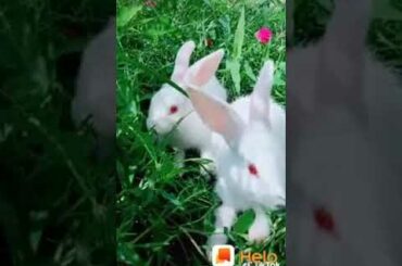 💓💓so cute 🍓🍉baby whatsapp status video(2)