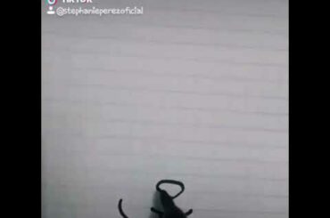 How to draw a cute bunny