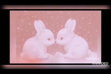 Listen to my heartbeat | cute bunny | whatsapp status