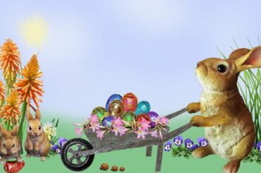 Most Beautiful Rabbit 4k HD Videos Kids Enjoy Baby Enjoyed || Kids Fun || Yahooo