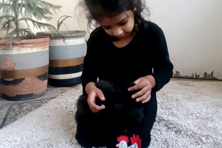 I play with my Cute Black Rabbit