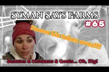 Syman Says Saturday Episode #65! Updates on Super cute baby Bunnies, baby chicks and pregnant Goats
