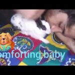 Comforting baby Rabbit by human paw