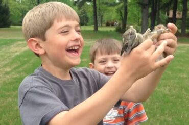 Cute Babies and Rabbit Become Best Friend   Funny Babies and Pets   Sevimli Bebekler ve Tavşan En İy