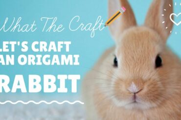 Craft this Cute Folding Origami Bunny Easily & Step by Step !