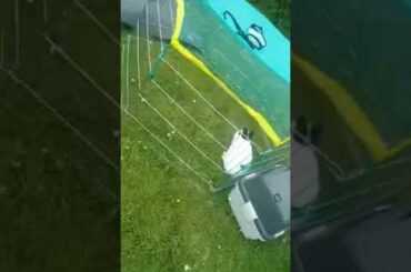 My friend’s new family member #bunny #whiteblack #cute