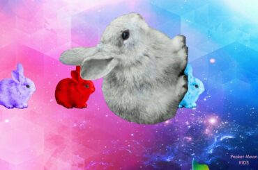 Cute Bunny Rabbit Colorful Eggs Learning Color Video For Kids | Учим цвета Кролики Зайки