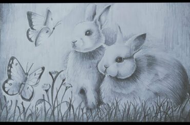 HOW TO DRAW A CUTE RABBIT USING PENCIL SKETCH || TIMELAPS VIDEO ||DETAILING WORK