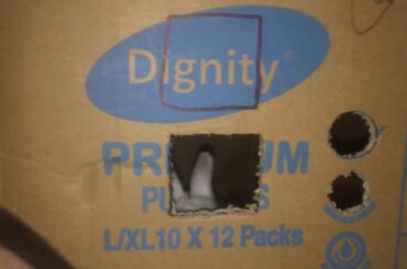 Cute baby rabbit escaping frm window 😱