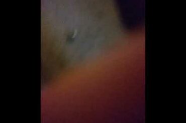 My Cute Bunny Nora Playing With A Fake Fish On A Fishing Rod