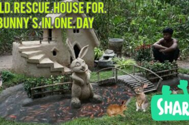 Build house for cute Bunny's