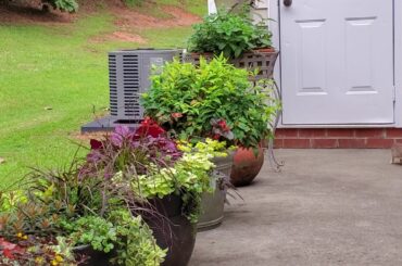 Mama rabbit and baby bunny