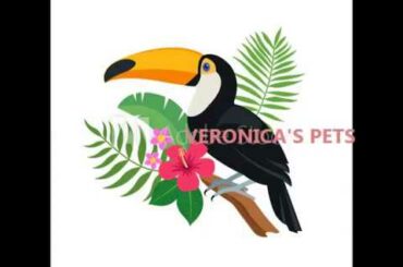 Cutest ever baby bunnies run for milk