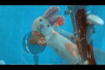 Behind the Scenes Practicing with Uke and Baby Bunny