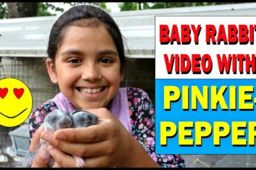 BABY RABBIT VIDEO WITH PINKIE PEPPER