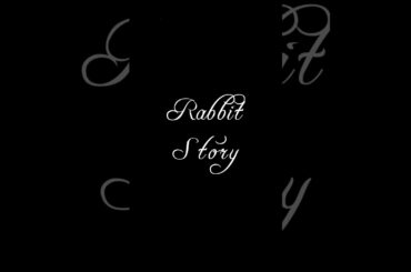 Cute Rabbit Story “Fun Day”