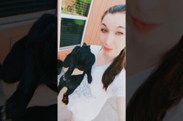 Nova says hi 🐇🐰#rabbit #cute