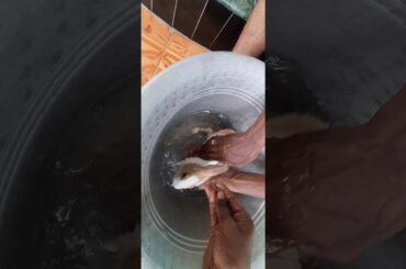 My cute bunny  🐰 is bathing