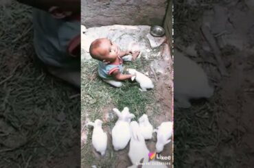 My nephew play with rabbits so cute baby please don't forget to subscribe my YouTube channel friends