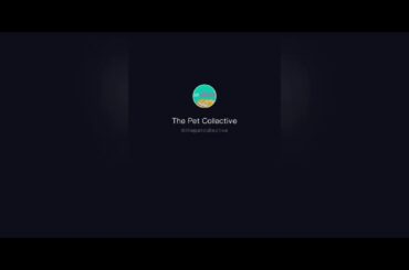 Cute bunny escaping from a cage