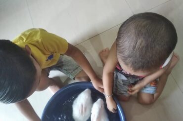 Clean the rabbit...... So cute....kids so happy