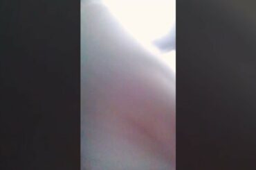 My cute little baby rabbit