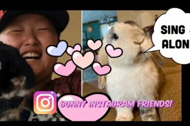 Quarantine Fun Video for the Entire Family - Sing Along with Bunny Friends of Instagram 🐰 🎶