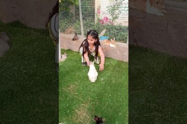 Cute Rabbit Feeding time