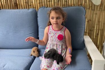 WILLOW’S ADORABLE BABY BUNNIES