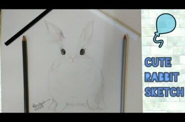 Cute bunny sketch for beginners