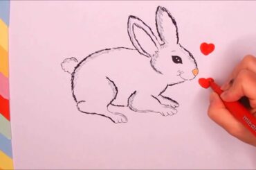 How to draw a cute rabbit, easy, step by step. For my friend, Odino il coniglio.