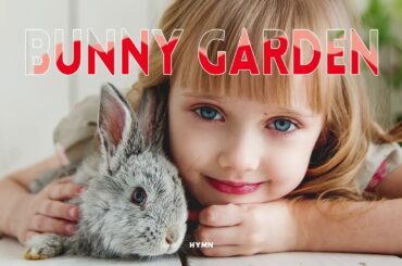[Cute] Bunny garden | Purple-planet | No Copyrights Music |HYMN