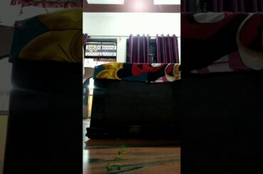 Cute bunny | coming out from under the bed | new video | Cheenu