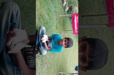 Cute little bunnies are adorable!