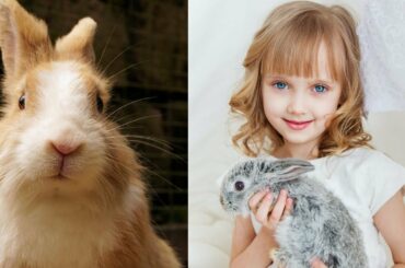 cutest bunny rabbit video | funny rabbit eating | rabbits are cute.