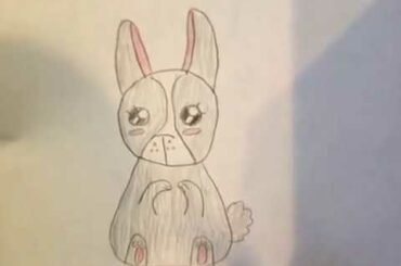 How to draw my cousin’s bunny, Luna
