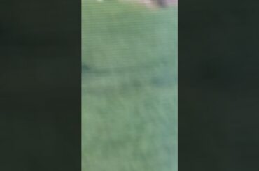 My cute little pet Rabbit